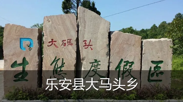 乐安县大马头乡