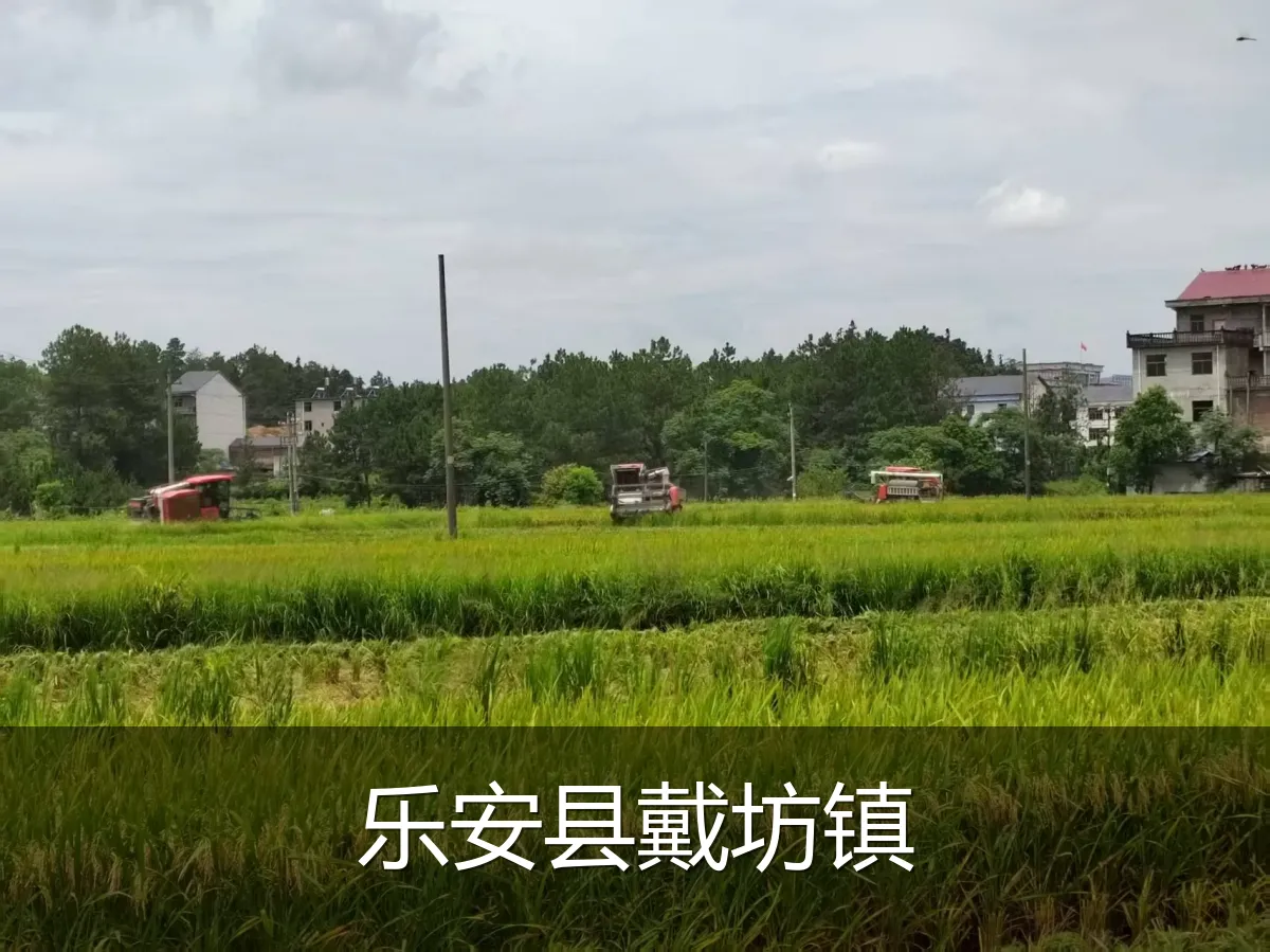 乐安县戴坊镇